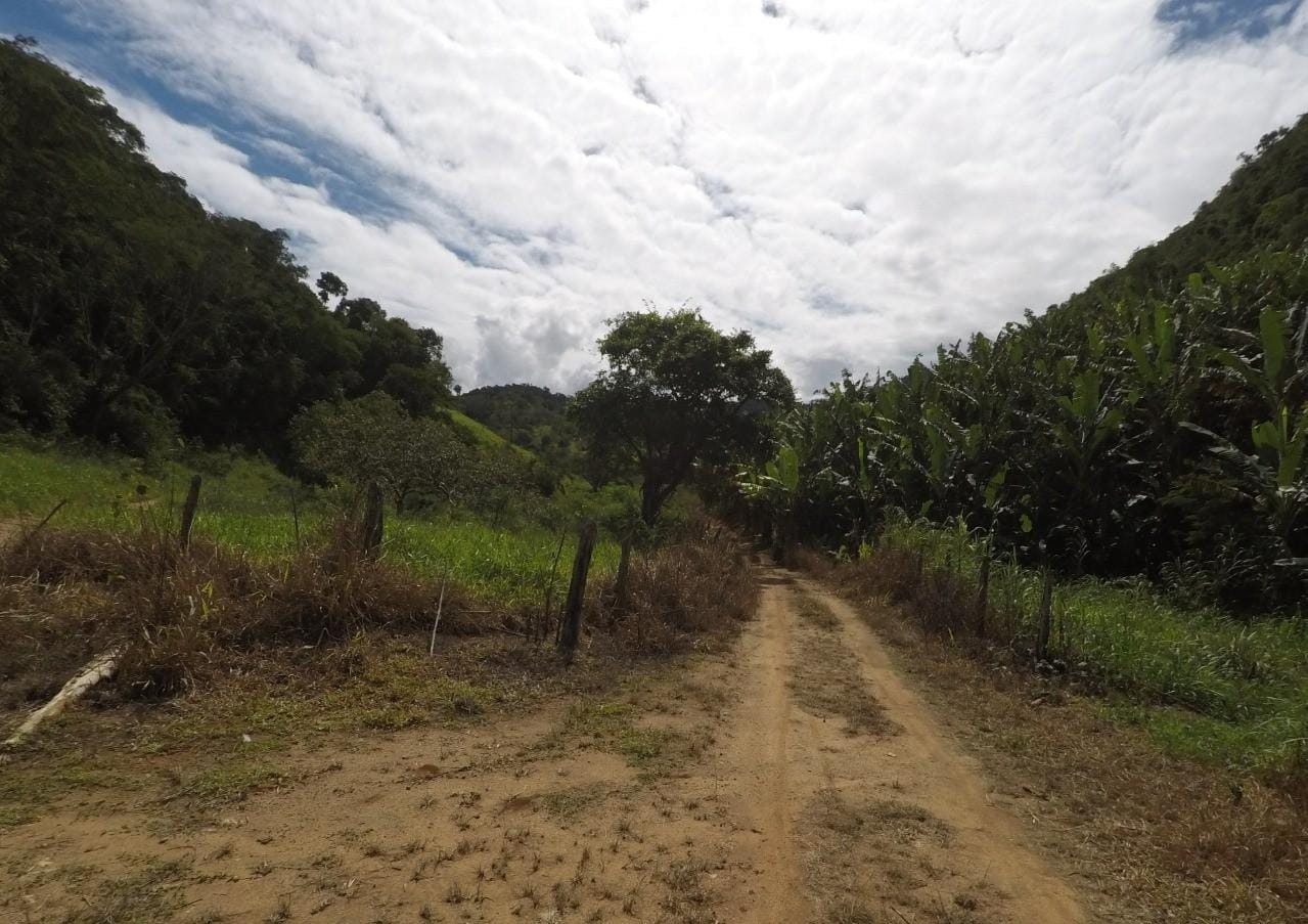 Fazenda à venda com 4 quartos, 43m² - Foto 10