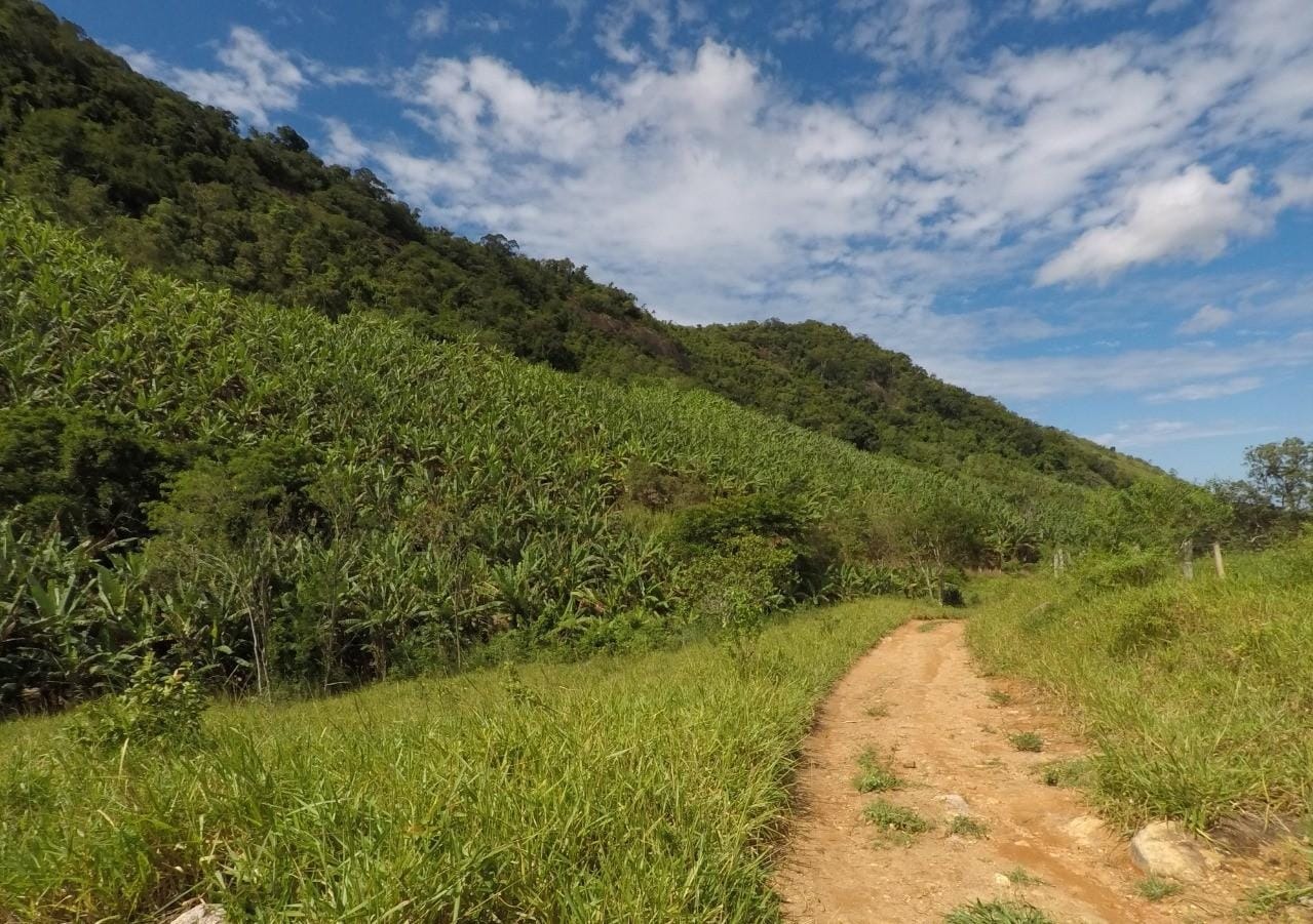 Fazenda à venda com 4 quartos, 43m² - Foto 16