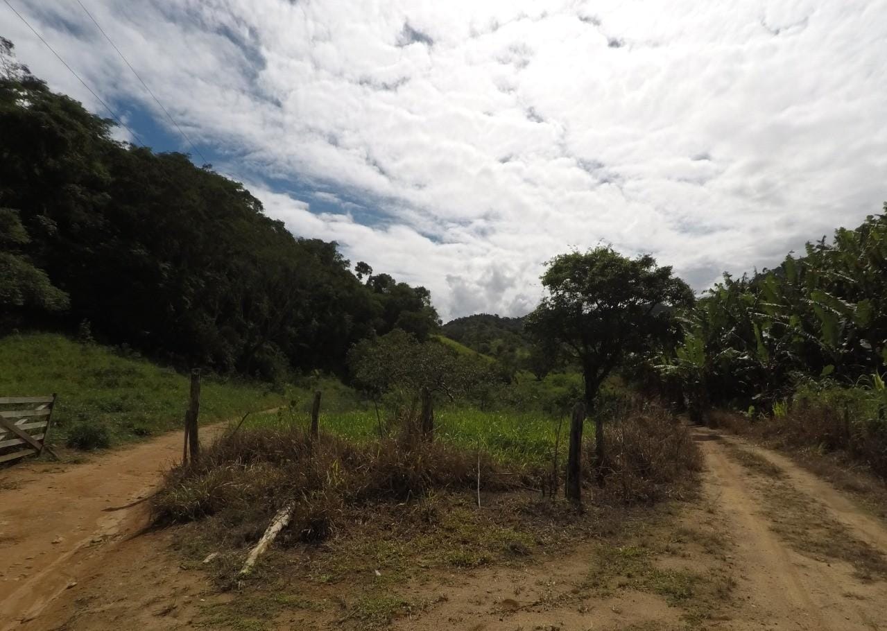 Fazenda à venda com 4 quartos, 43m² - Foto 20