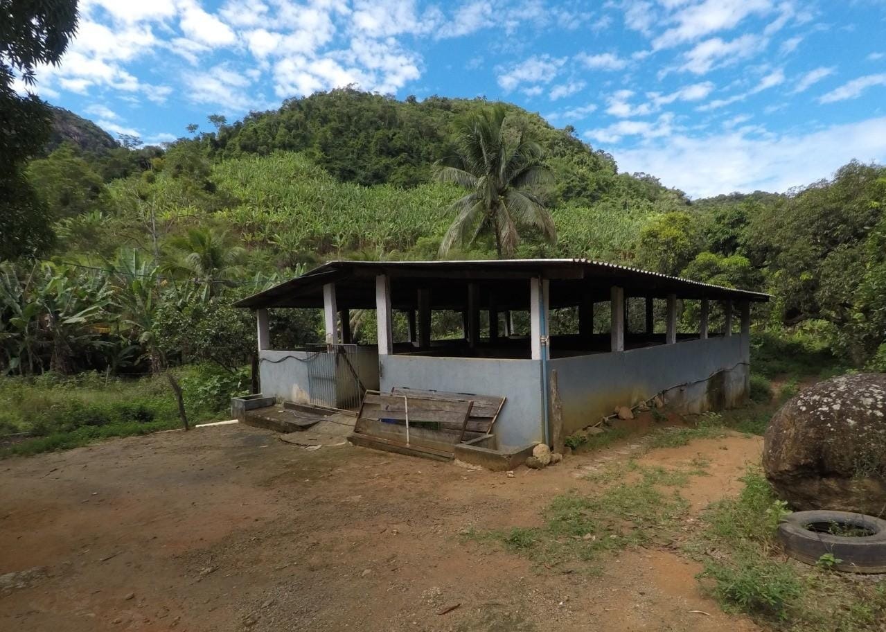 Fazenda à venda com 4 quartos, 43m² - Foto 21