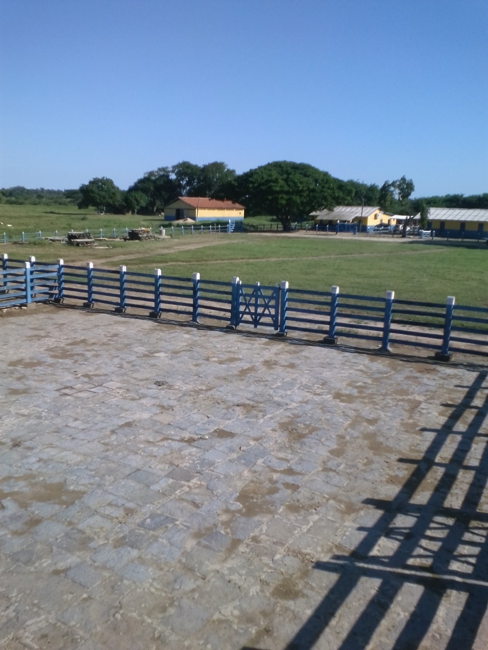 Fazenda à venda com 10 quartos, 310m² - Foto 26