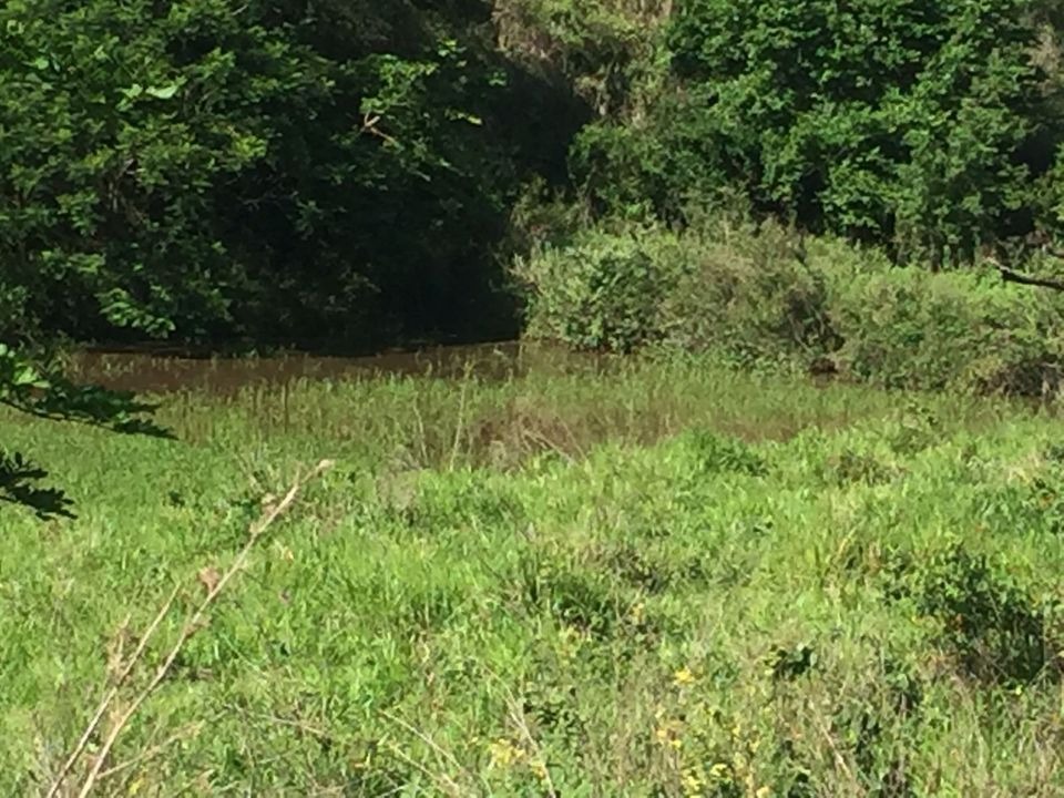 Fazenda à venda com 2 quartos, 113m² - Foto 20