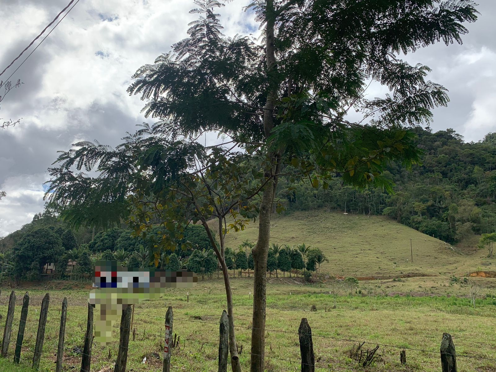 Haras e Área Rural Padrão à venda, 20000m² - Foto 1