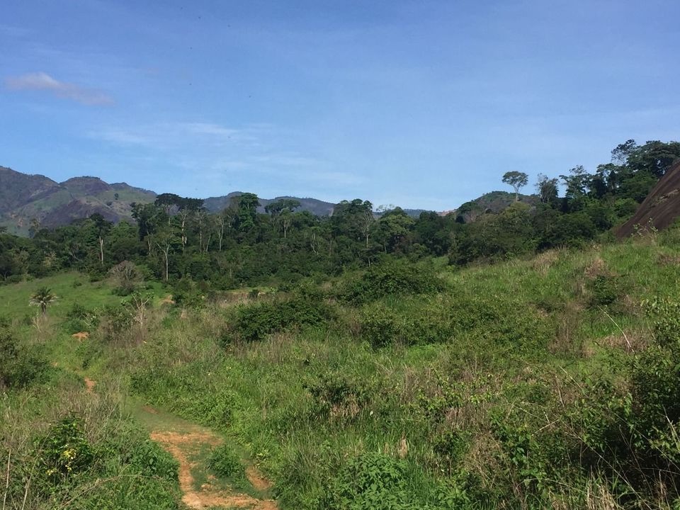 Fazenda à venda com 2 quartos, 113m² - Foto 16