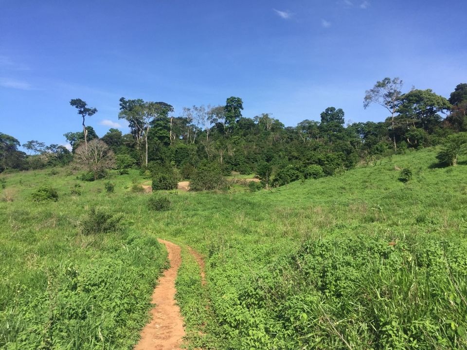 Fazenda à venda com 2 quartos, 113m² - Foto 12