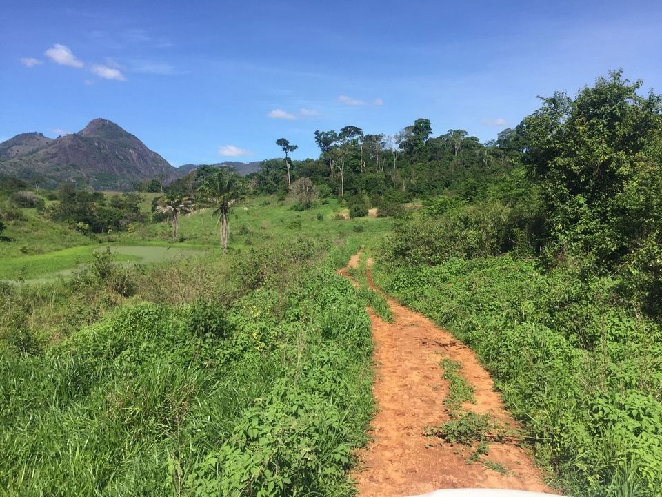 Fazenda à venda com 2 quartos, 113m² - Foto 13