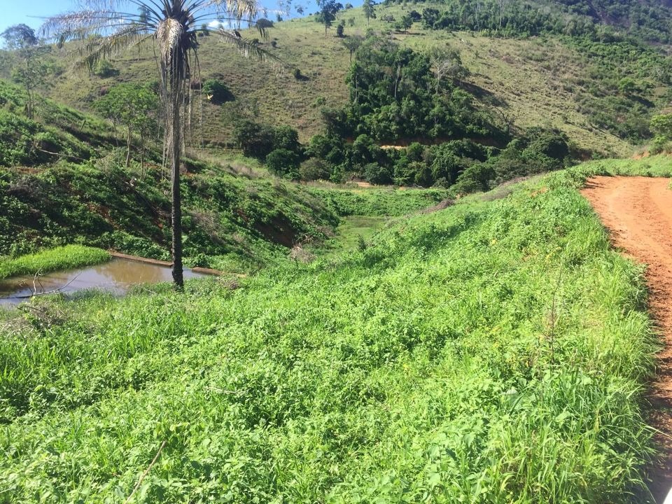 Fazenda à venda com 2 quartos, 113m² - Foto 6