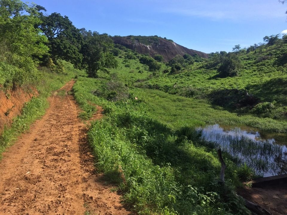 Fazenda à venda com 2 quartos, 113m² - Foto 5