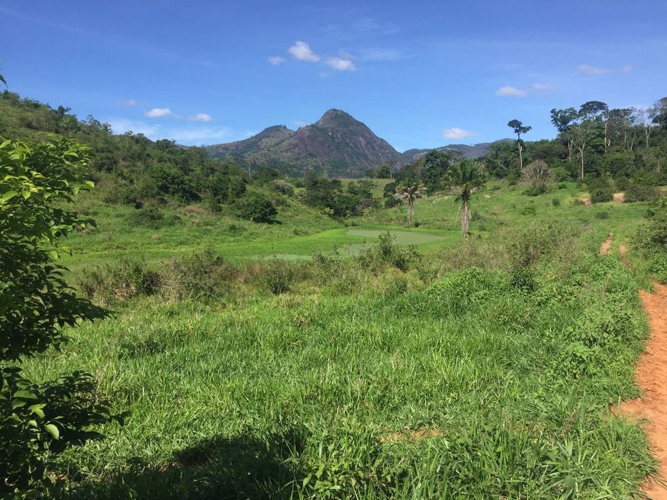 Fazenda à venda com 2 quartos, 113m² - Foto 15