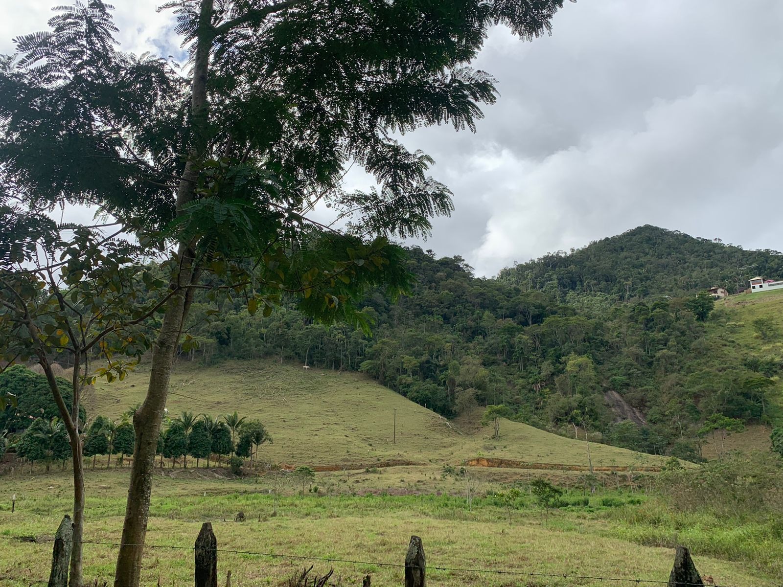 Haras e Área Rural Padrão à venda, 20000m² - Foto 3