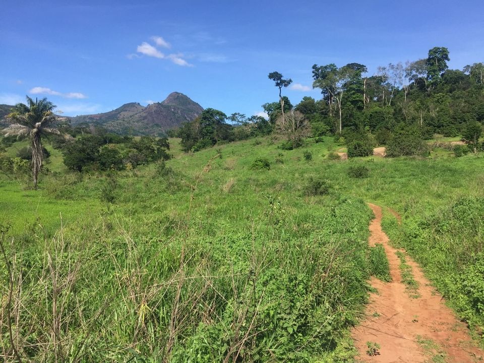 Fazenda à venda com 2 quartos, 113m² - Foto 11