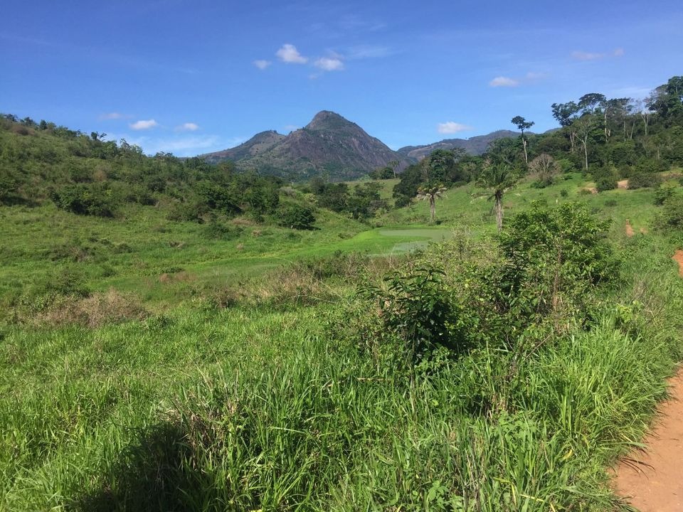 Fazenda à venda com 2 quartos, 113m² - Foto 14