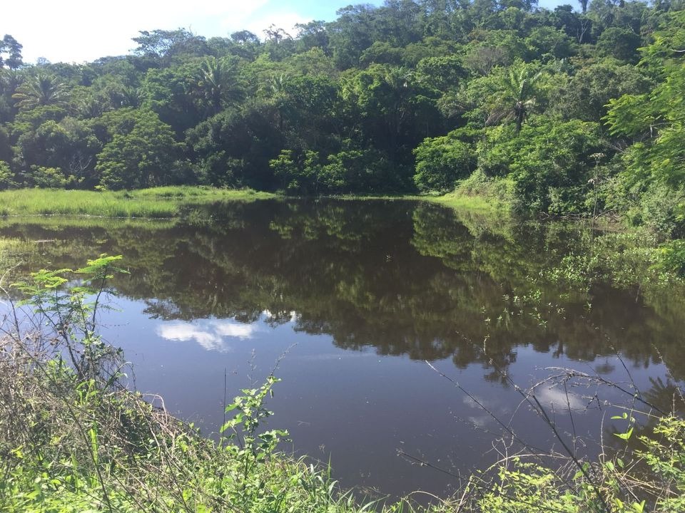 Fazenda à venda com 2 quartos, 113m² - Foto 21