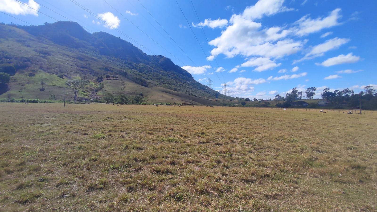 Haras e Área Rural Padrão à venda, 10m² - Foto 14