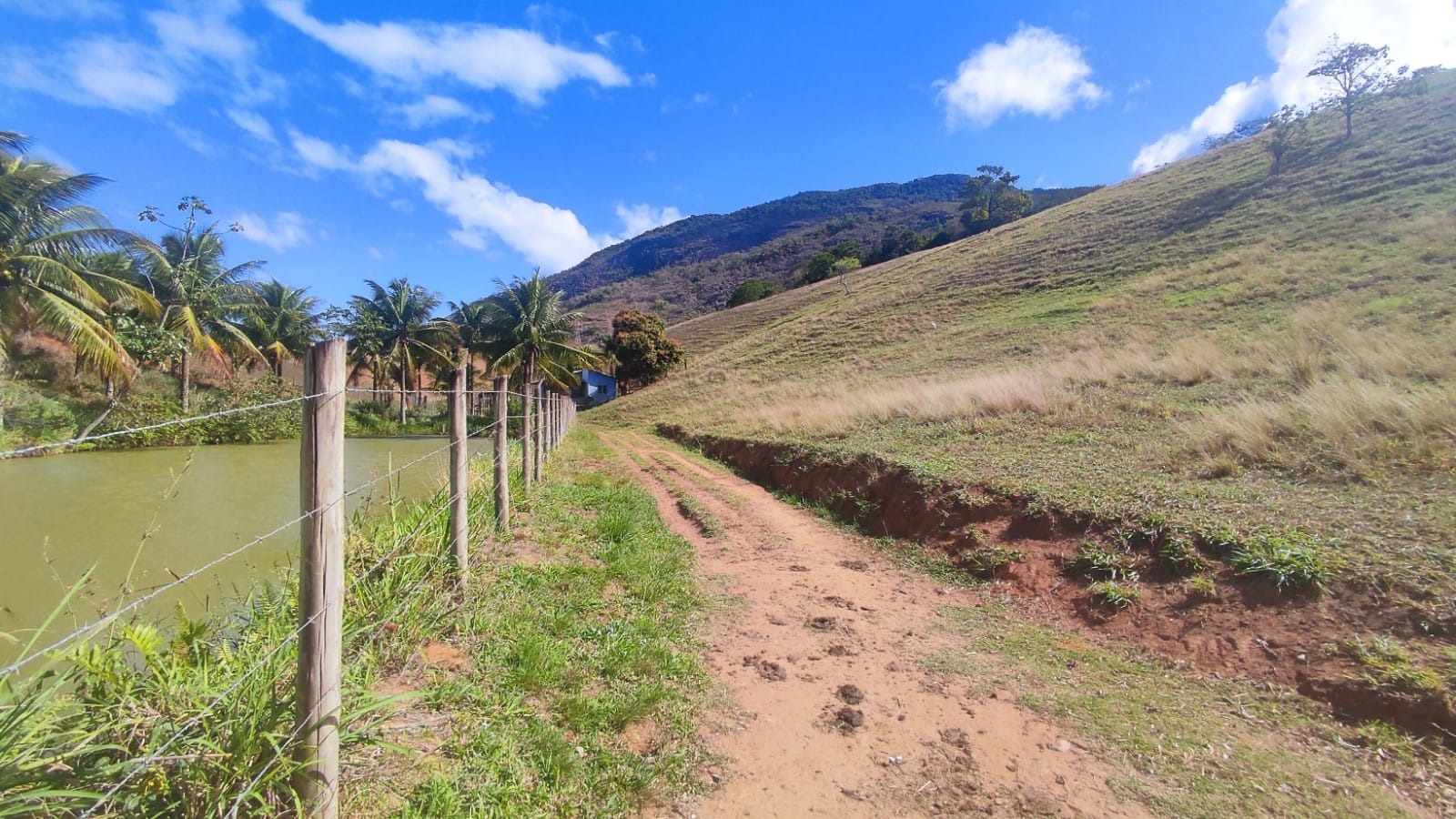 Haras e Área Rural Padrão à venda, 10m² - Foto 18