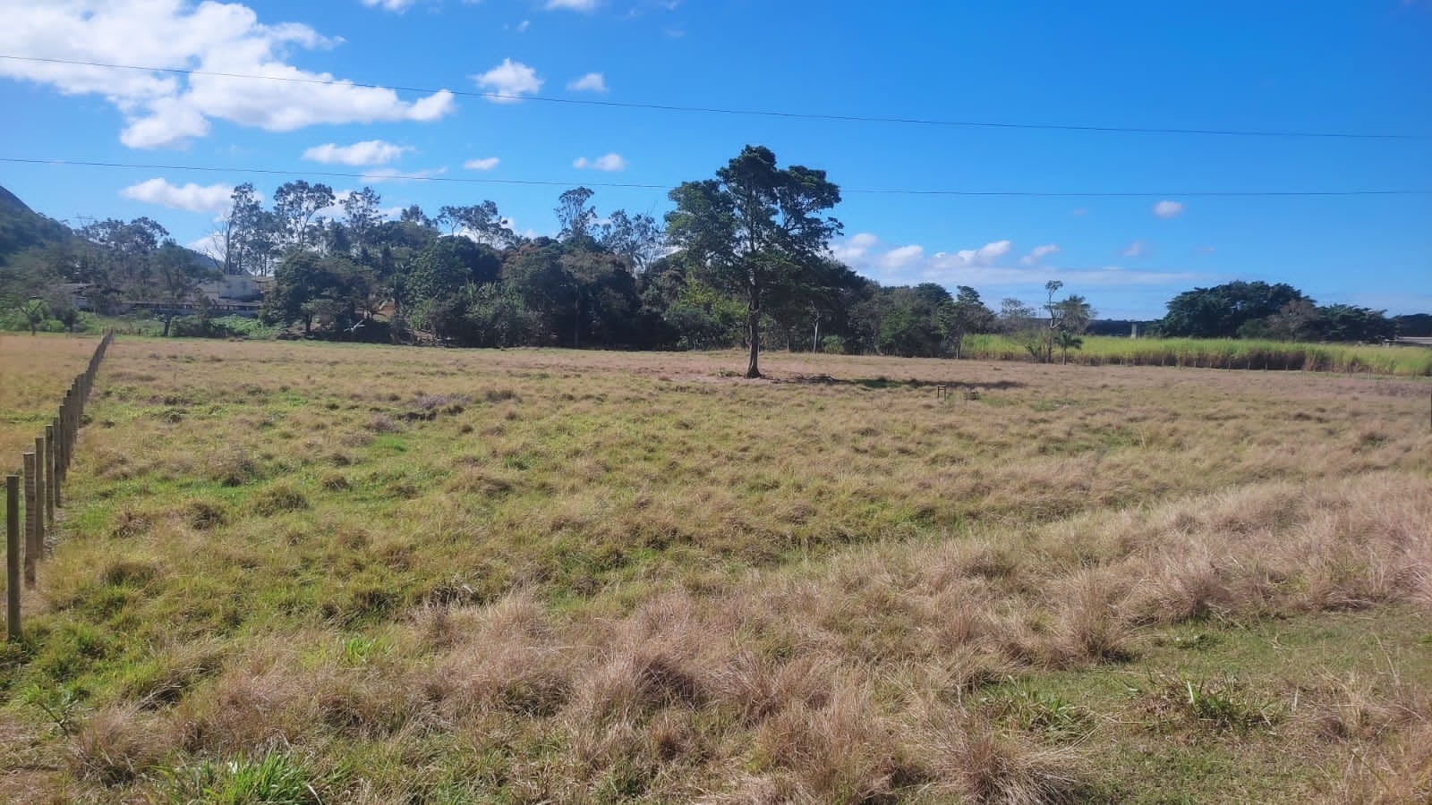 Haras e Área Rural Padrão à venda, 10m² - Foto 7