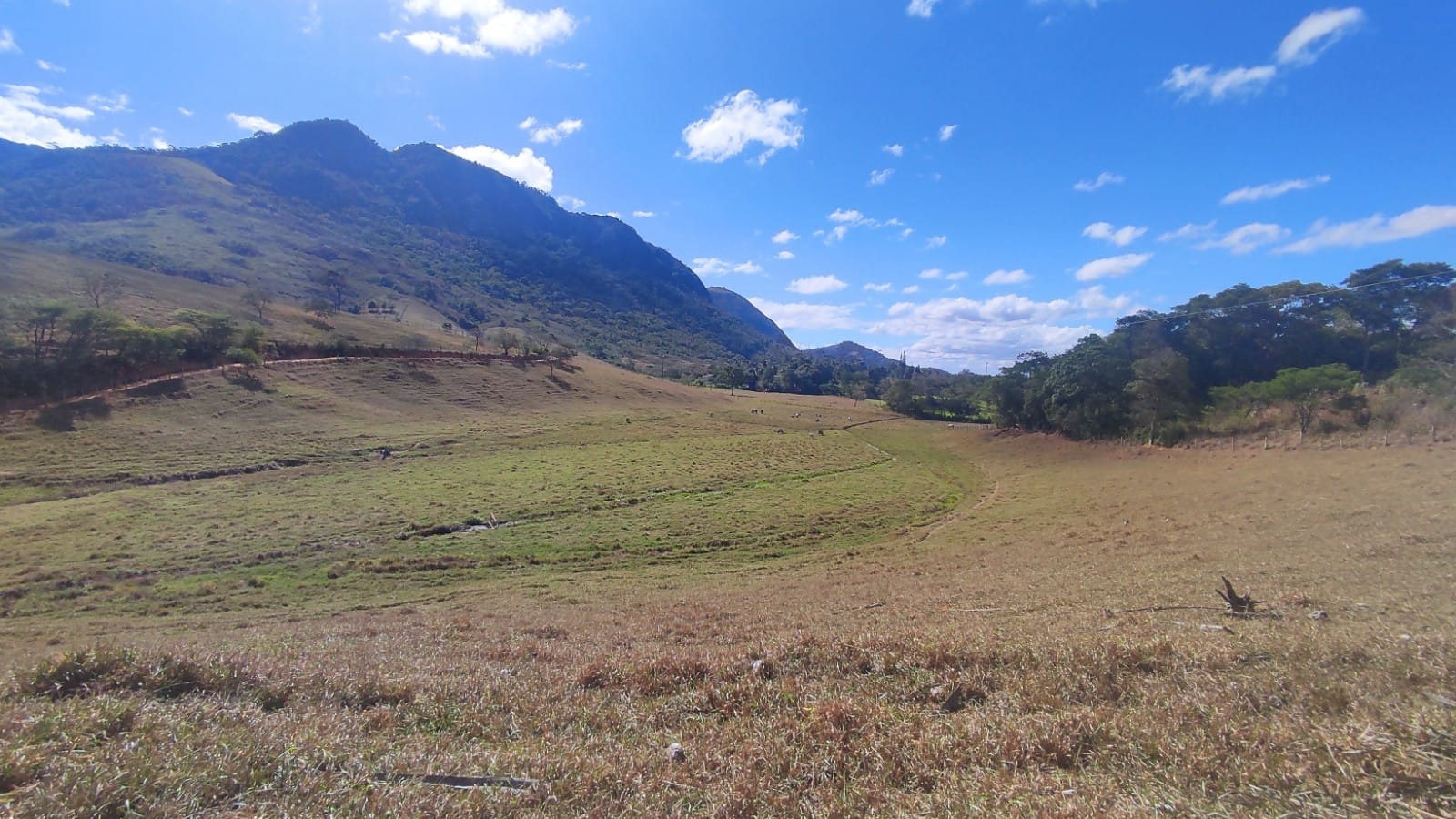 Haras e Área Rural Padrão à venda, 10m² - Foto 19