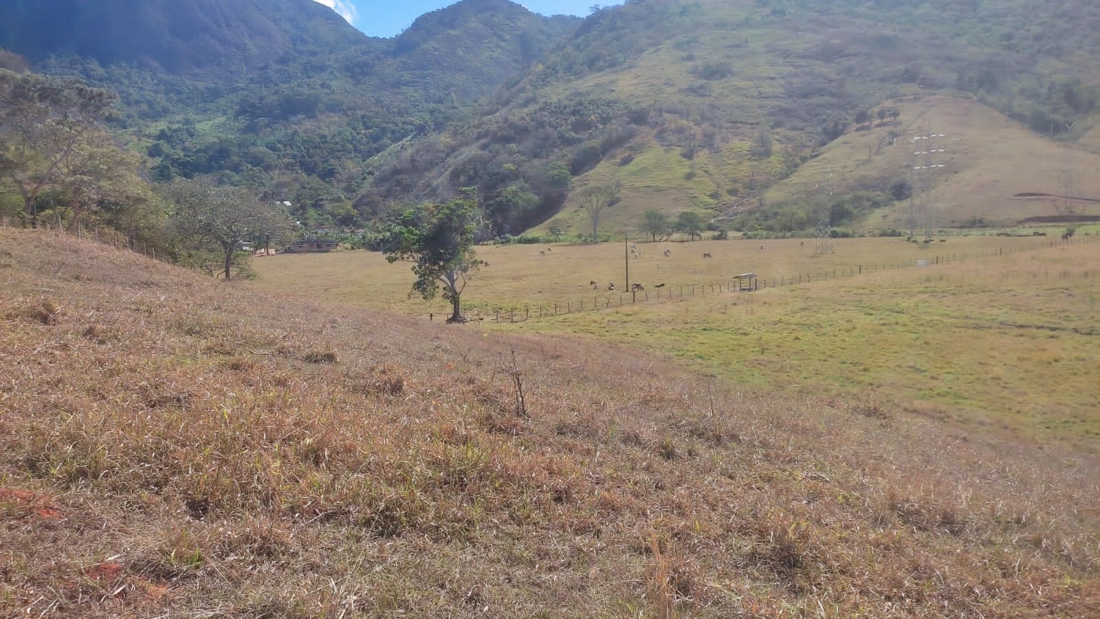 Haras e Área Rural Padrão à venda, 10m² - Foto 5