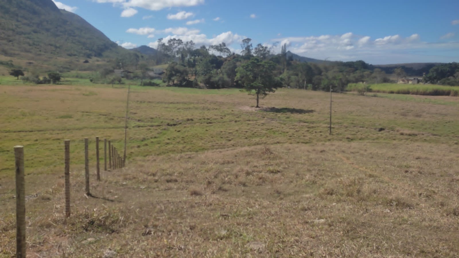 Haras e Área Rural Padrão à venda, 10m² - Foto 3