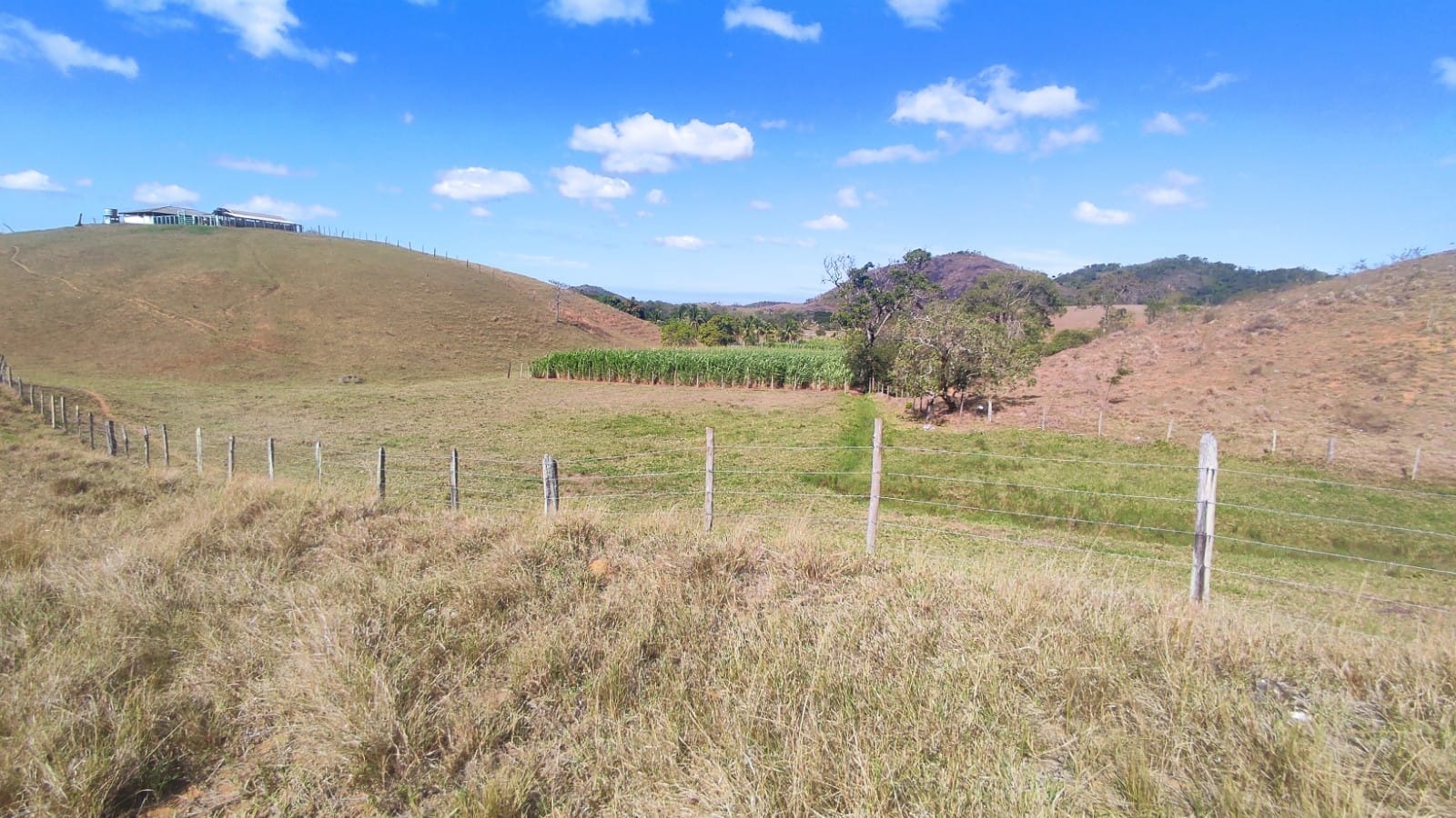 Haras e Área Rural Padrão à venda, 10m² - Foto 22