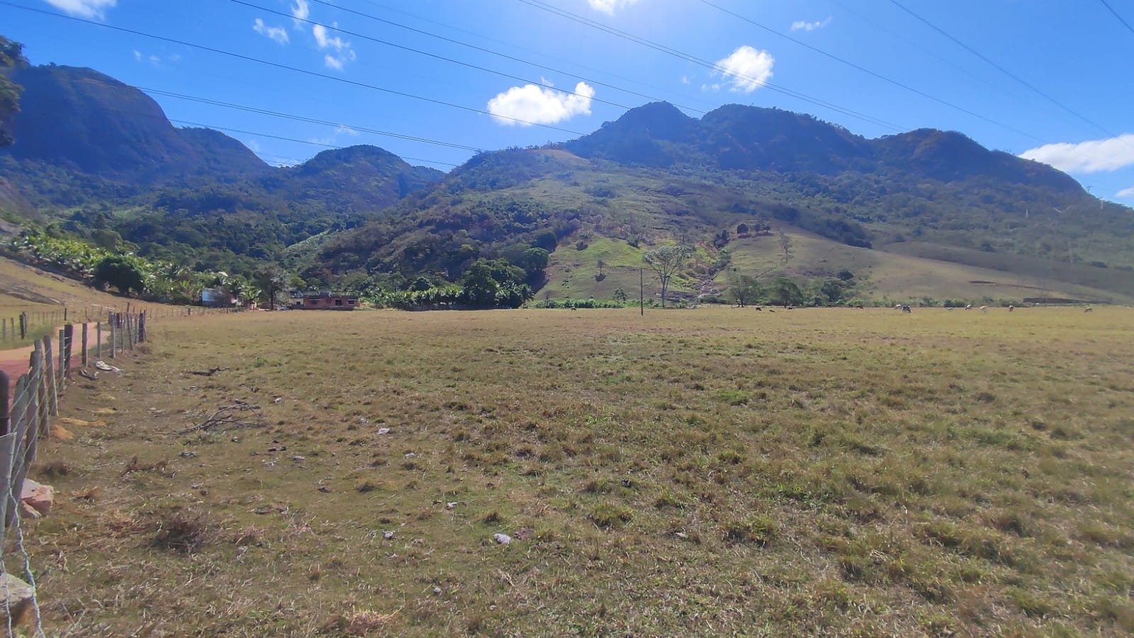 Haras e Área Rural Padrão à venda, 10m² - Foto 13