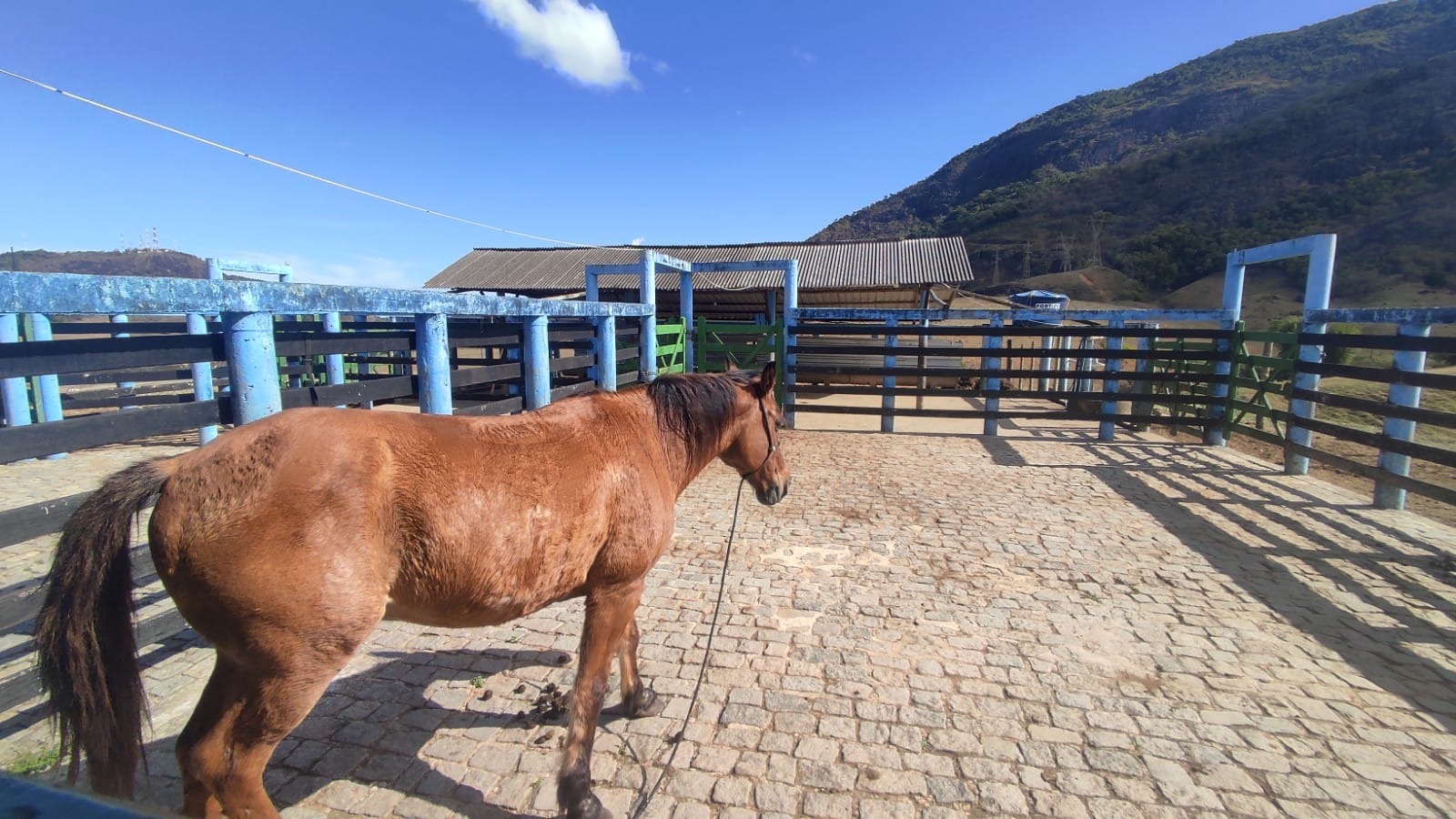 Haras e Área Rural Padrão à venda, 10m² - Foto 27