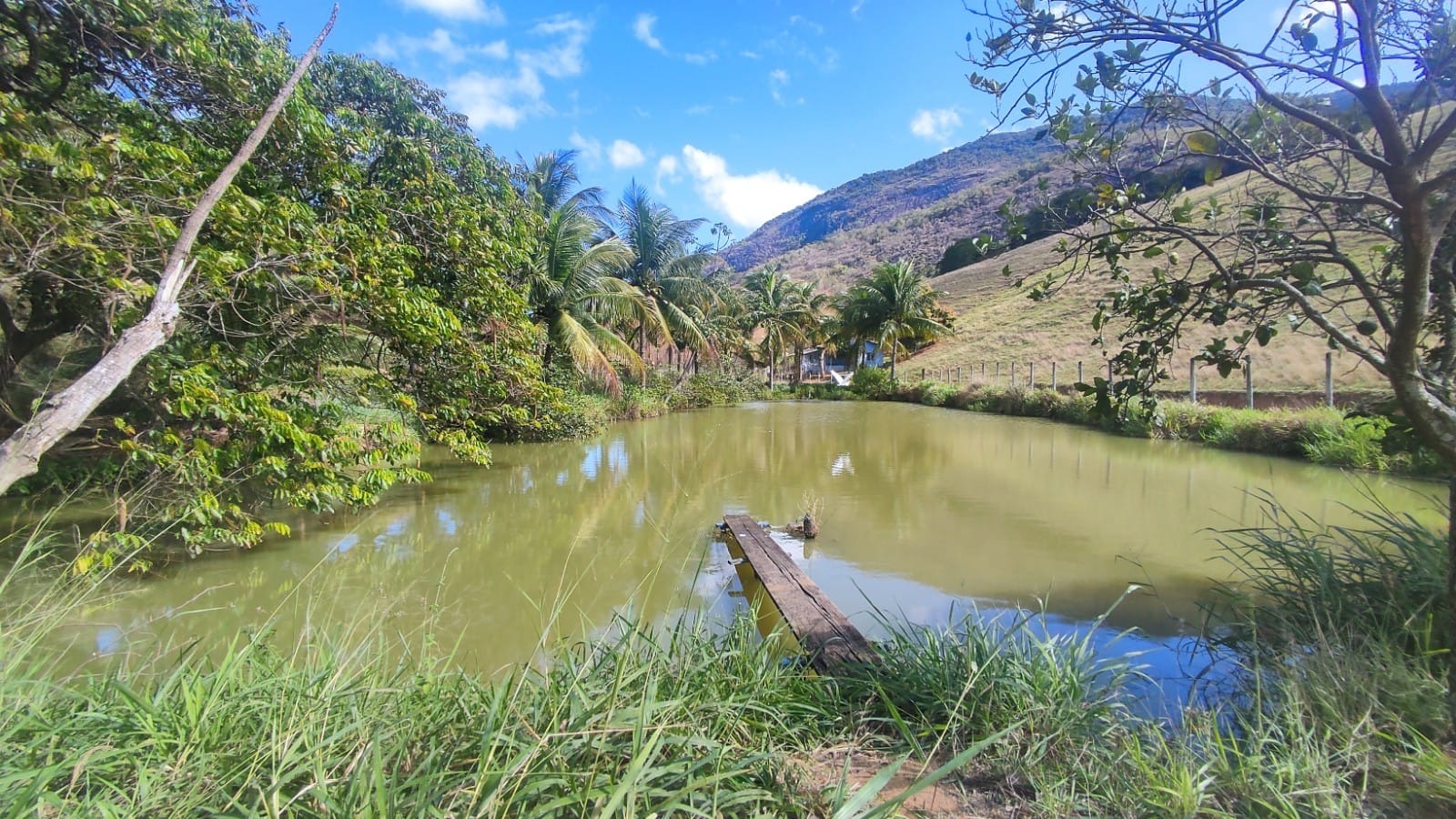 Haras e Área Rural Padrão à venda, 10m² - Foto 17