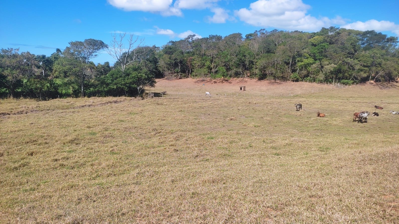 Haras e Área Rural Padrão à venda, 10m² - Foto 12