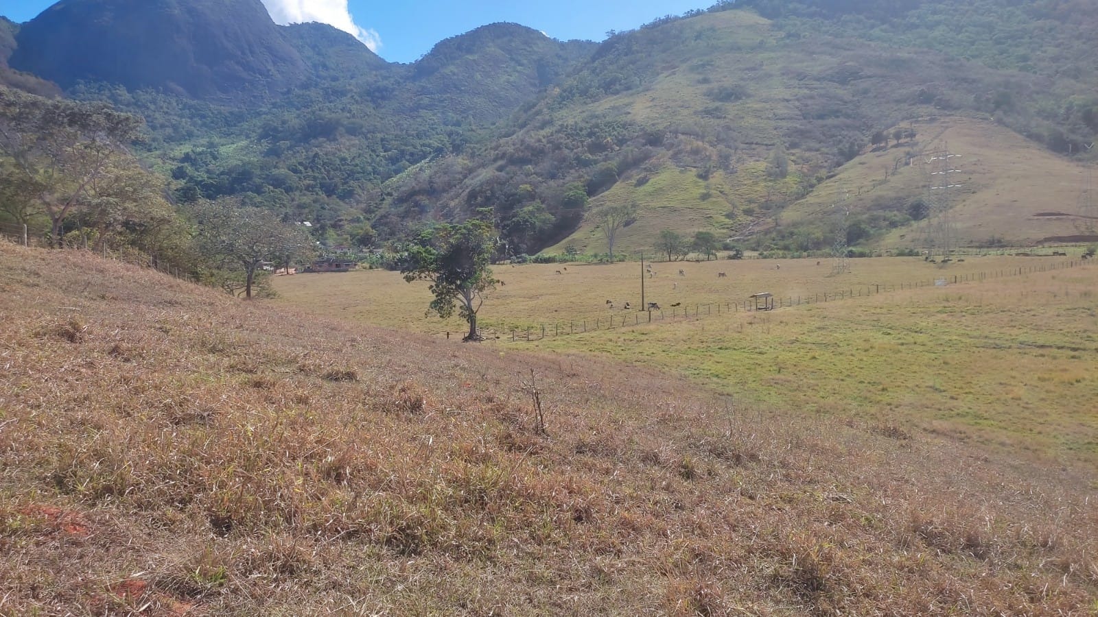 Haras e Área Rural Padrão à venda, 10m² - Foto 4