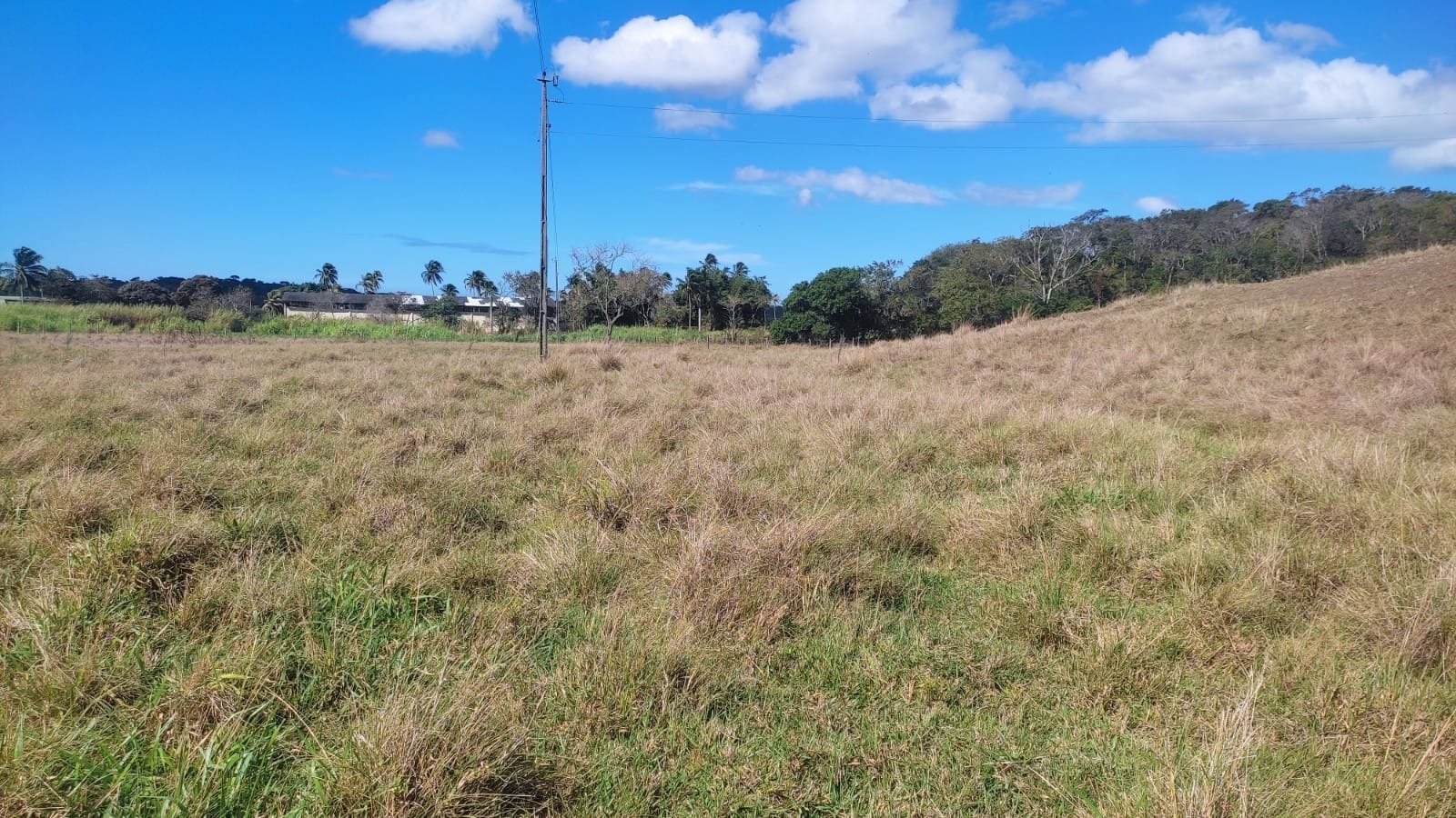 Haras e Área Rural Padrão à venda, 10m² - Foto 11