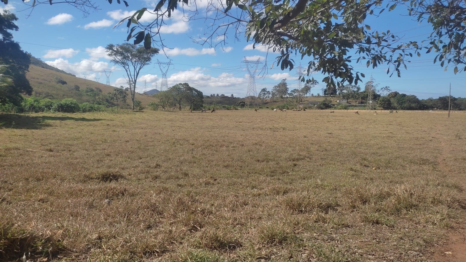 Haras e Área Rural Padrão à venda, 10m² - Foto 15