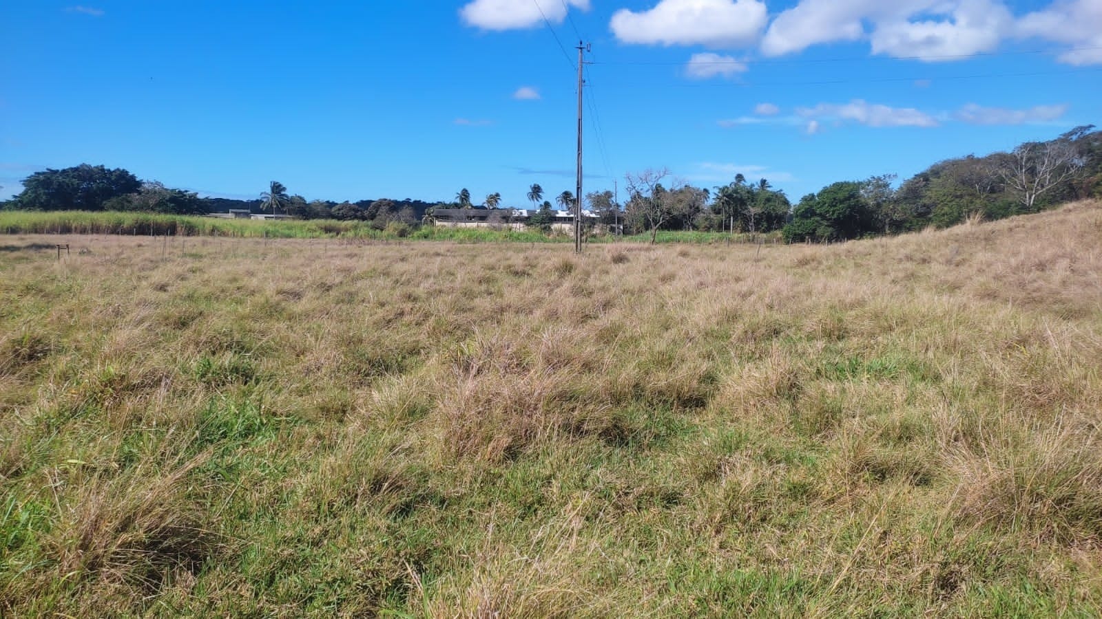 Haras e Área Rural Padrão à venda, 10m² - Foto 8