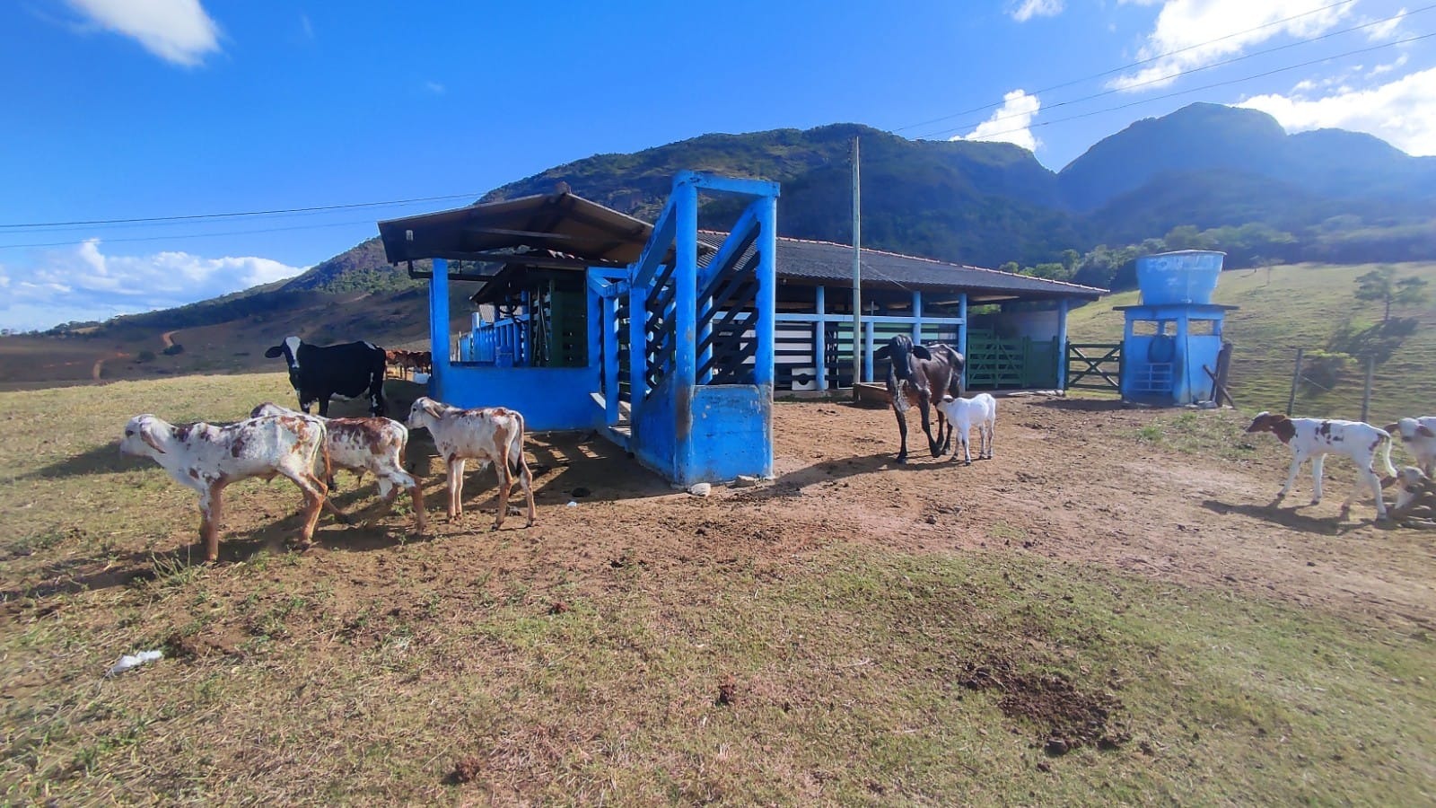 Haras e Área Rural Padrão à venda, 10m² - Foto 24