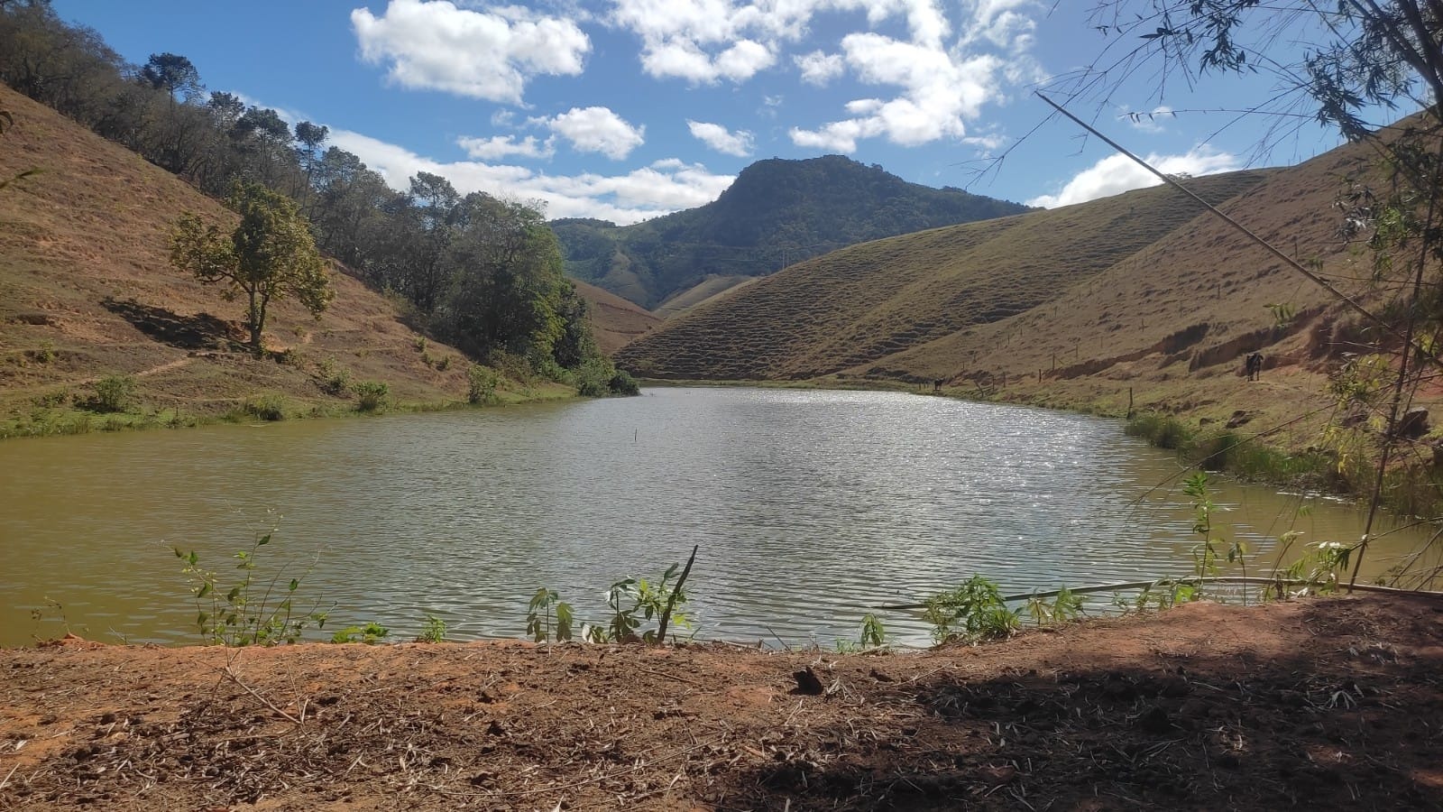 Haras e Área Rural Padrão à venda, 10m² - Foto 2