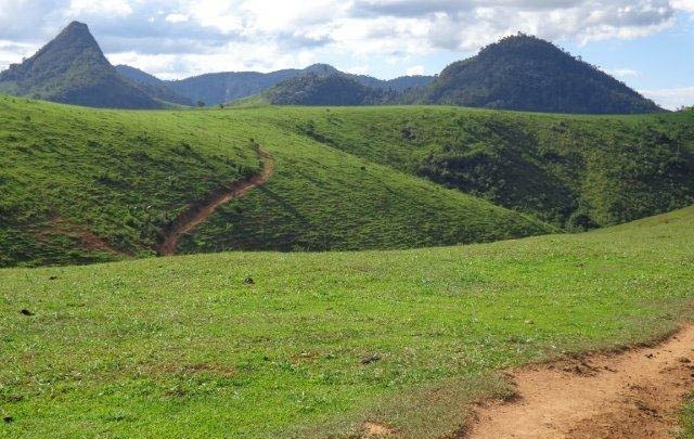 Fazenda à venda com 1 quarto, 130m² - Foto 50