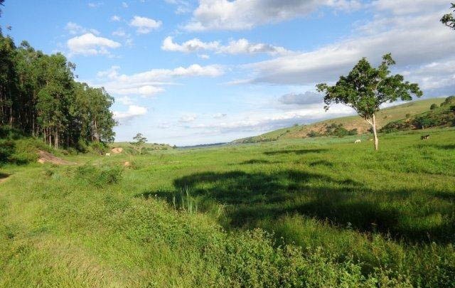 Fazenda à venda com 1 quarto, 130m² - Foto 62