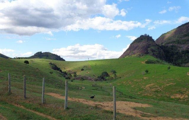 Fazenda à venda com 1 quarto, 130m² - Foto 52