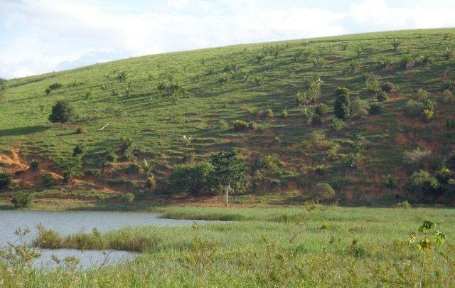 Fazenda à venda com 1 quarto, 130m² - Foto 3