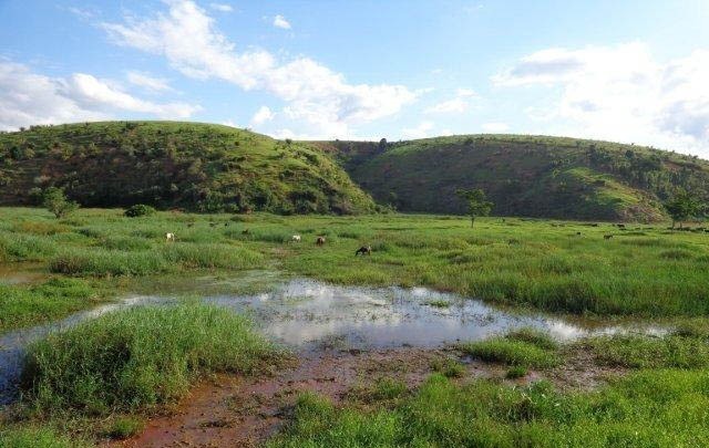 Fazenda à venda com 1 quarto, 130m² - Foto 1