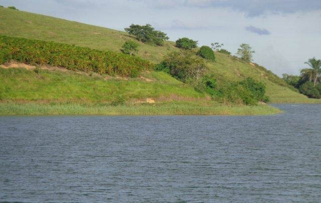 Fazenda à venda com 1 quarto, 130m² - Foto 6