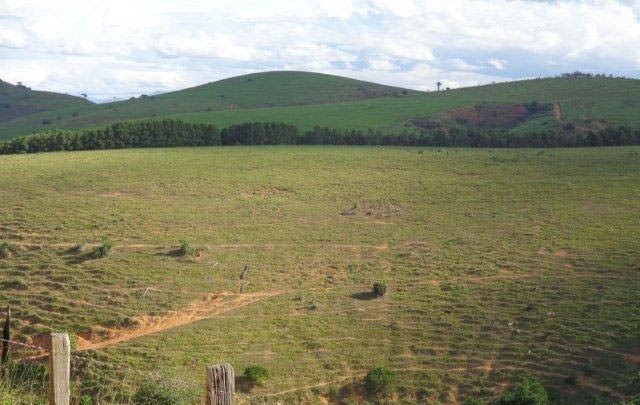 Fazenda à venda com 1 quarto, 130m² - Foto 60