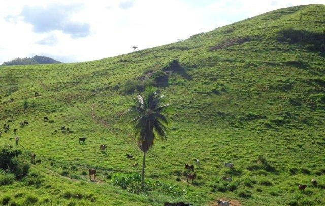 Fazenda à venda com 1 quarto, 130m² - Foto 15