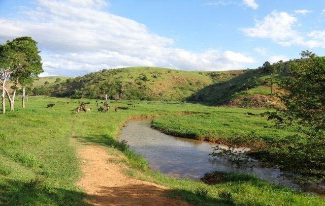 Fazenda à venda com 1 quarto, 130m² - Foto 59