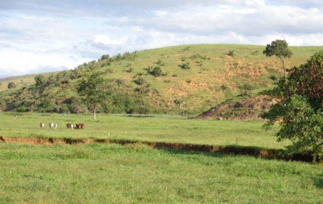 Fazenda à venda com 1 quarto, 130m² - Foto 58