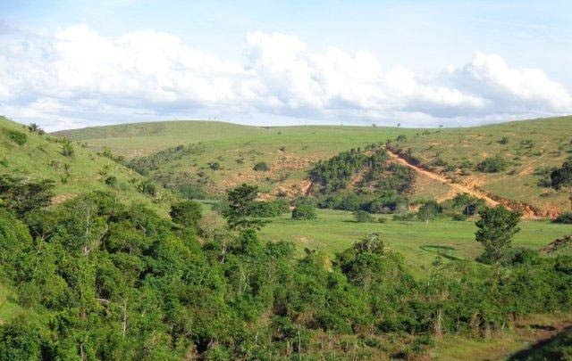 Fazenda à venda com 1 quarto, 130m² - Foto 14