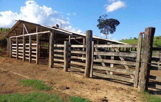 Fazenda à venda com 1 quarto, 130m² - Foto 22