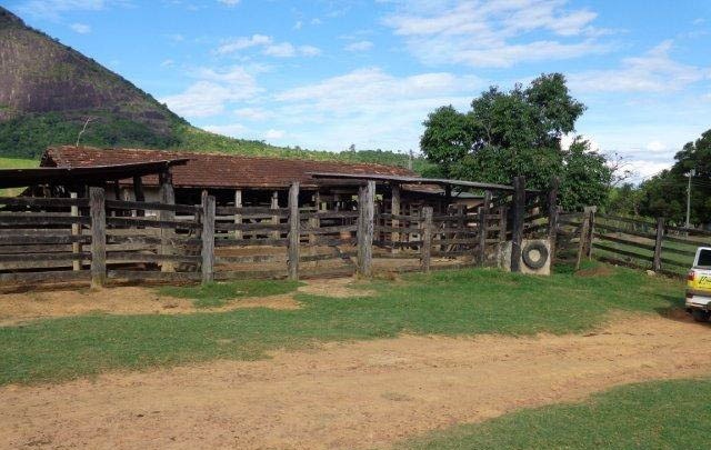 Fazenda à venda com 1 quarto, 130m² - Foto 33