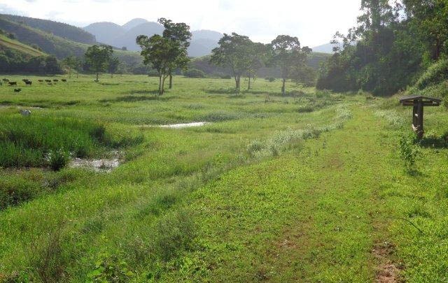 Fazenda à venda com 1 quarto, 130m² - Foto 61