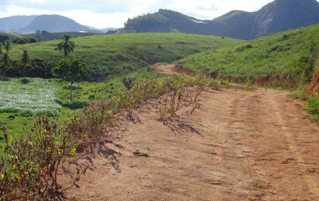 Fazenda à venda com 1 quarto, 130m² - Foto 18