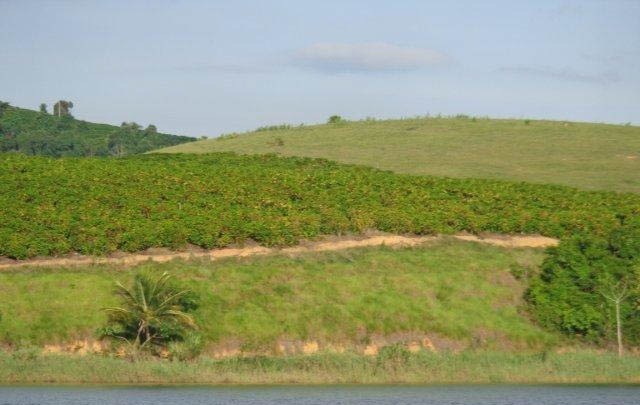 Fazenda à venda com 1 quarto, 130m² - Foto 7